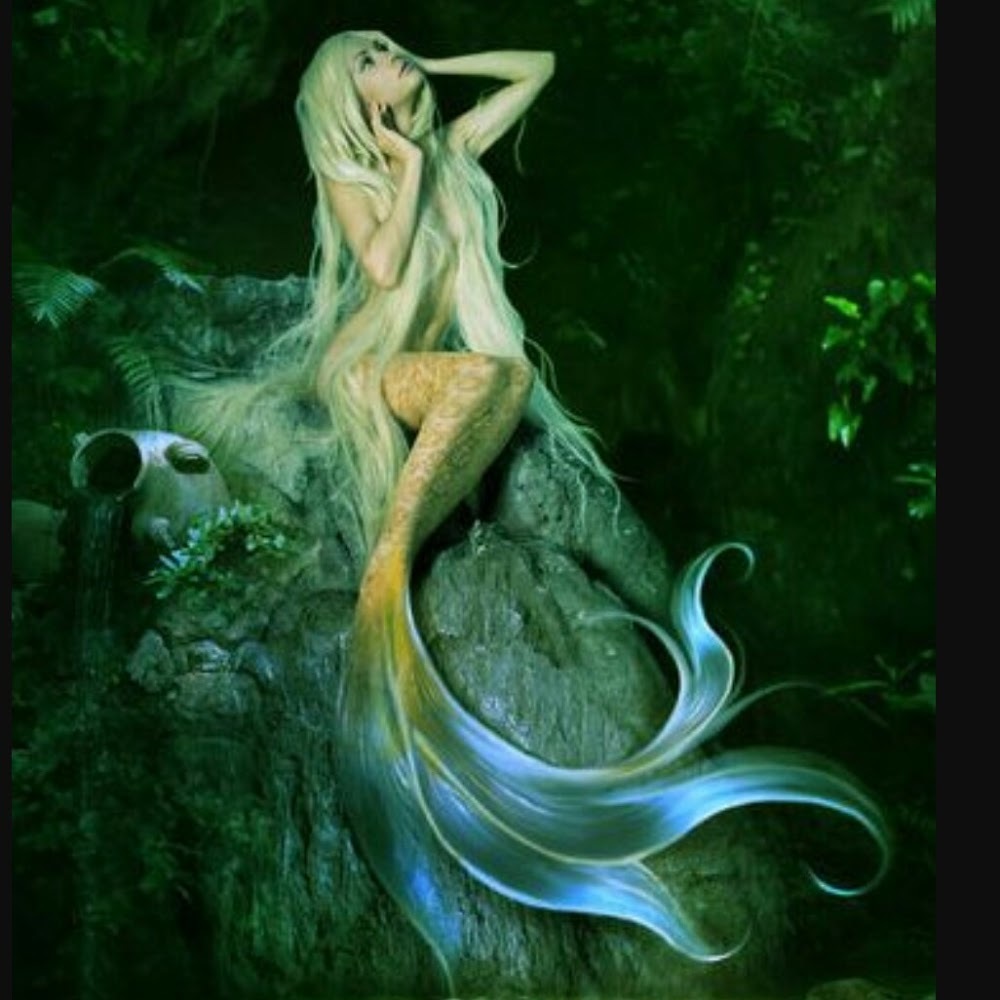 Meet your Posher, Lucky mermaid